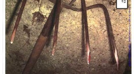 Evidence in the Amy Mullis corn rake murder case