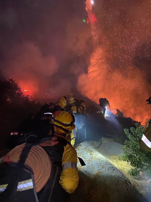 Small Brush Fire Breaks Out In Los Feliz 