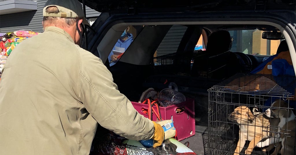 Free Pet Food Drive Held By Washington Area Humane Society CBS Pittsburgh