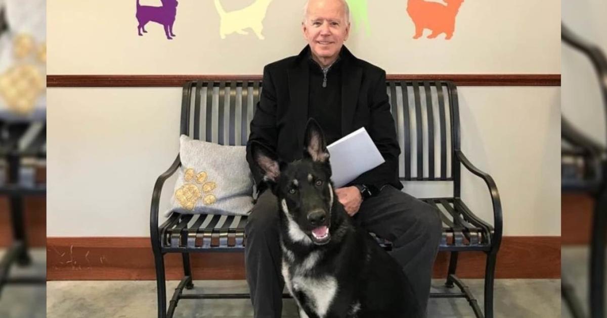 President-elect Joe Biden sprains foot while walking dog