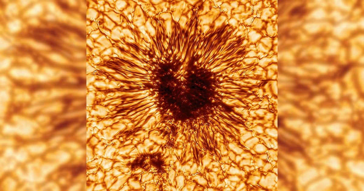 Unprecedented image captures a sunspot larger than Earth