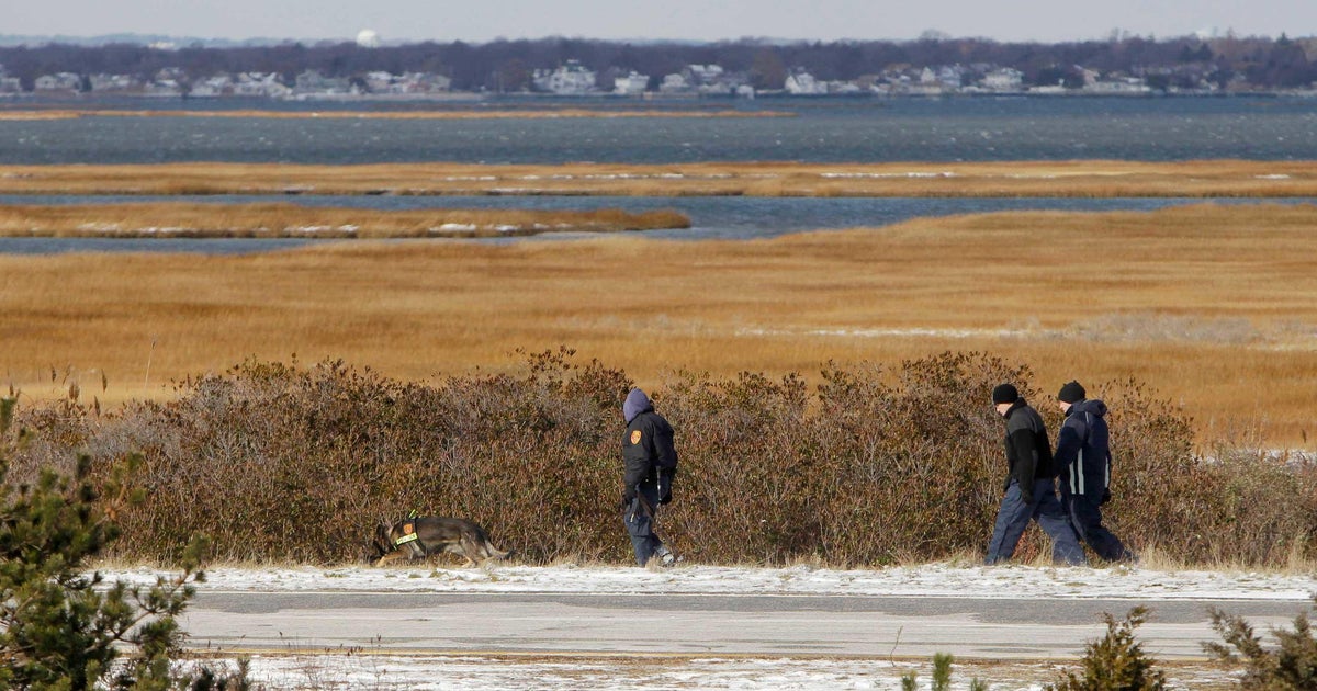 Inside the mind of a murderer: New clues in the hunt for the Long Island serial killer - Vimarsana News