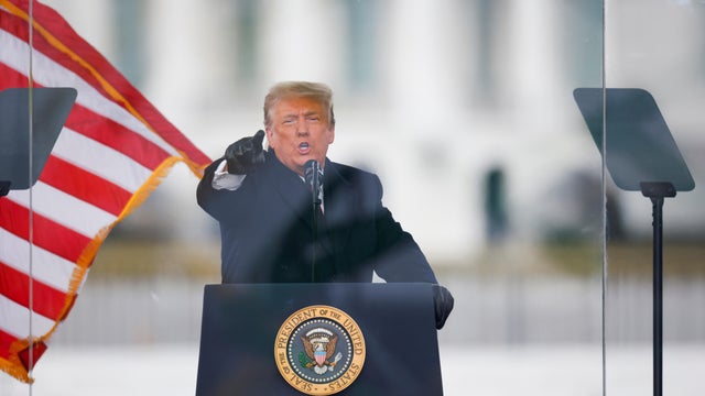 Trump Supporters Rally In Freedom Plaza In Washington, DC 