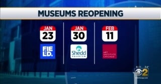 Shedd Aquarium, Field Museum Reopening After Closing For Months Due To