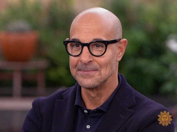 stanley tucci hair