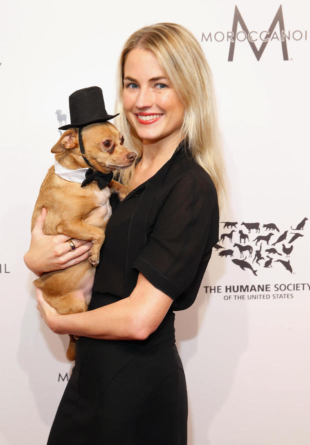 2016 Humane Society Of The United States To The Rescue! New York:  Saving Animal Lives 
