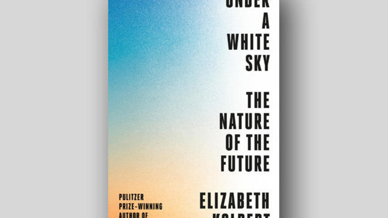 under a white sky paperback