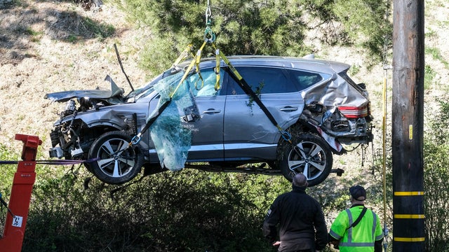 Tiger Woods Crash Golf 