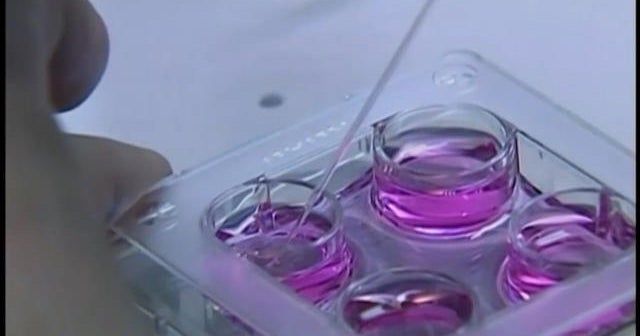 Experimental flu drug could save lives