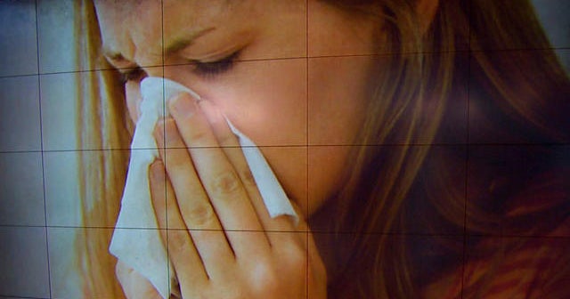 Climate change may aggravate allergies