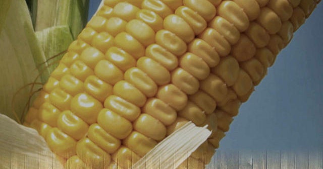 GMO labeling bills face opposition from manufacturers