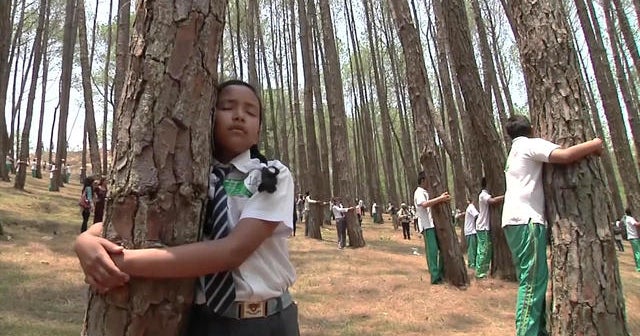 Thousands in Nepal hug trees in world record bid