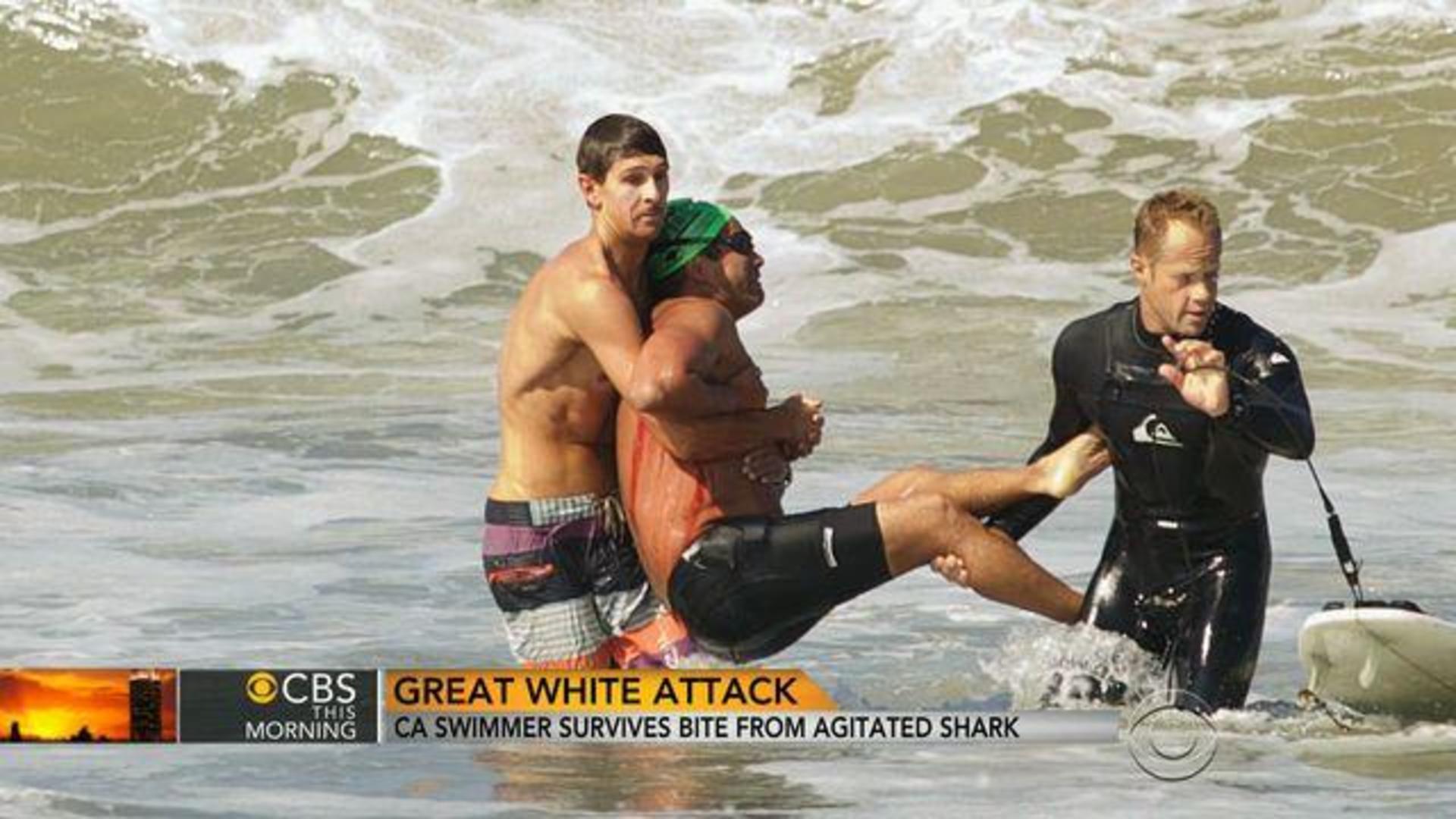 Great White Shark Attack California Swimmer Survives Bite Cbs News - pics of fighting sharks roblox