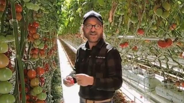 cbsn-fusion-entrepreneur-hopes-to-make-appalachia-hub-for-indoor-farming-thumbnail-674953-640x360.jpg 