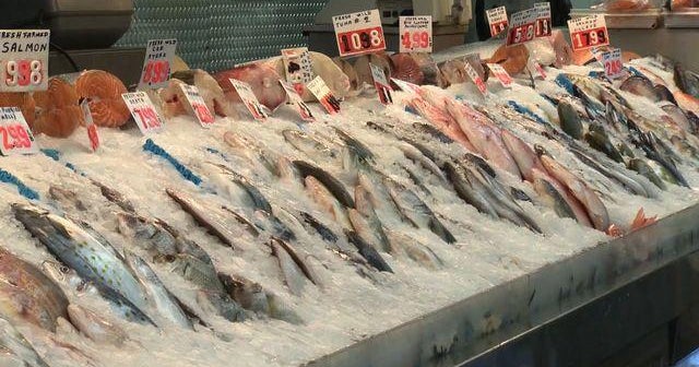 Report urges pregnant women to avoid eating tuna