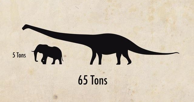 Astoundingly huge dinosaur discovered