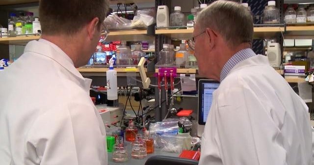 Scientists desperately searching for Ebola cure