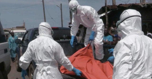 WHO: Ebola outbreak could grow by 10,000 cases a week