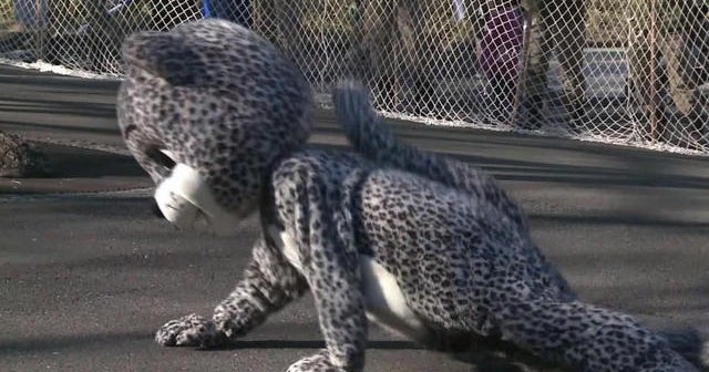 Man in leopard costume helps Tokyo zoo simulate animal escape
