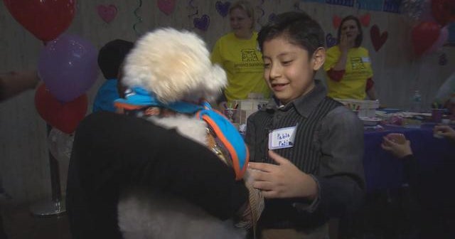 How Ralph the dog helped a heart transplant succeed