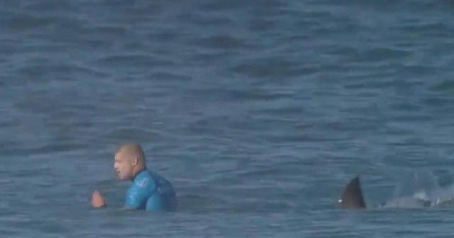 Pro surfer fights off attacking shark