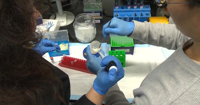 Lab makes progress on treatment for baldness