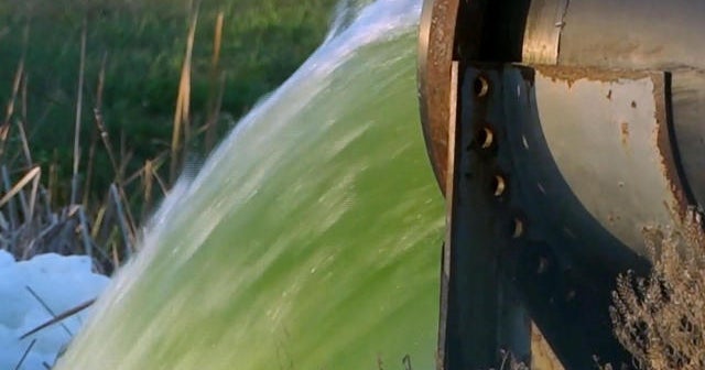 Activists fear environmental impact after toxic wastewater dumped in Tampa Bay