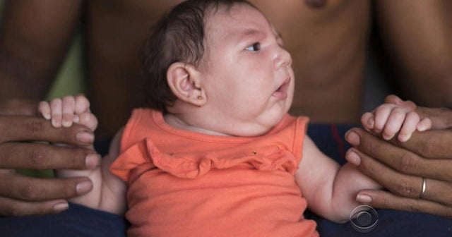 WHO declares Zika virus an international health emergency