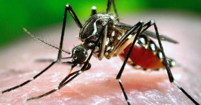 Morning Rounds: Zika fight, sex education and impact of reading