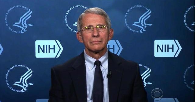 NIH official: Pregnant women across U.S. should take Zika precautions