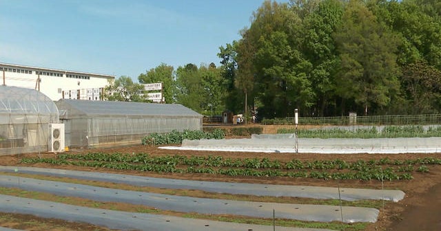 Japanese waste disposal company transitions into recycling and restoration