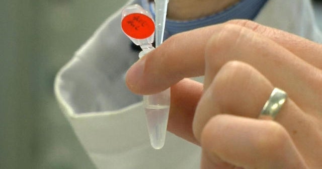 A new experiment fixed genetic mutations in embryos