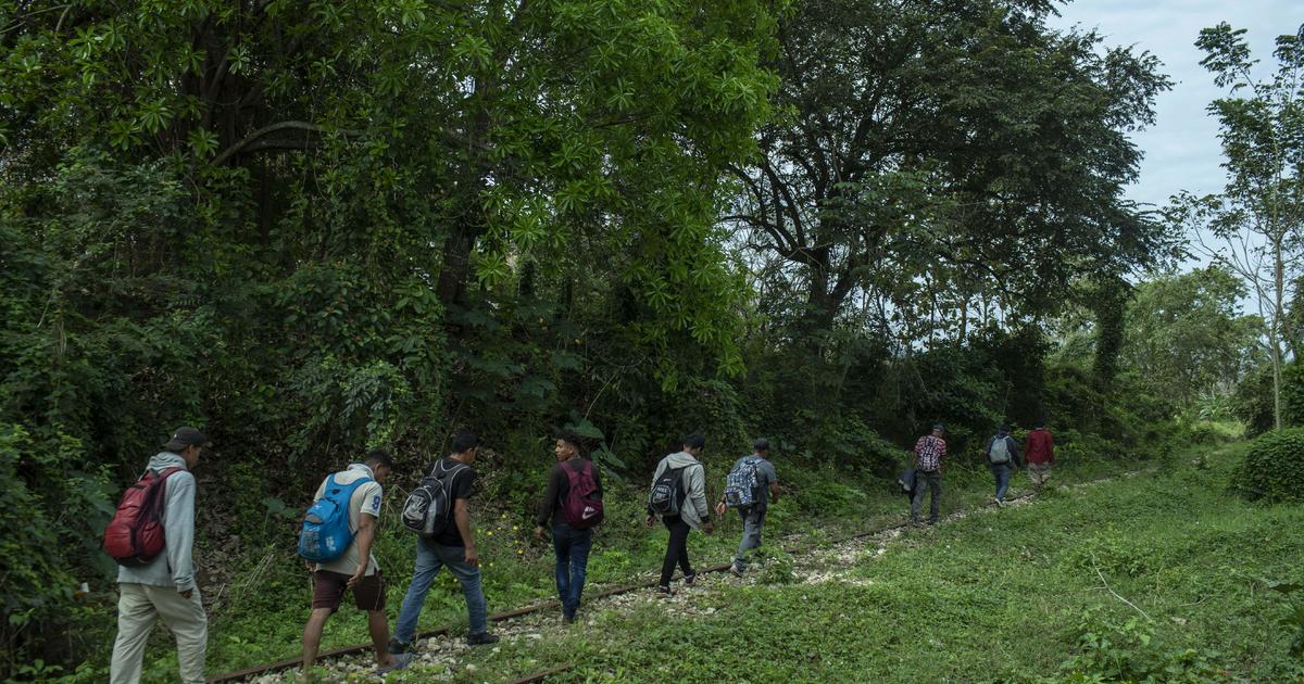 Over 2,100 children crossed border alone after being expelled with families to Mexico
