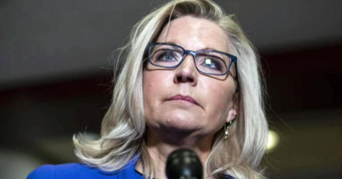 liz cheney profiles in courage