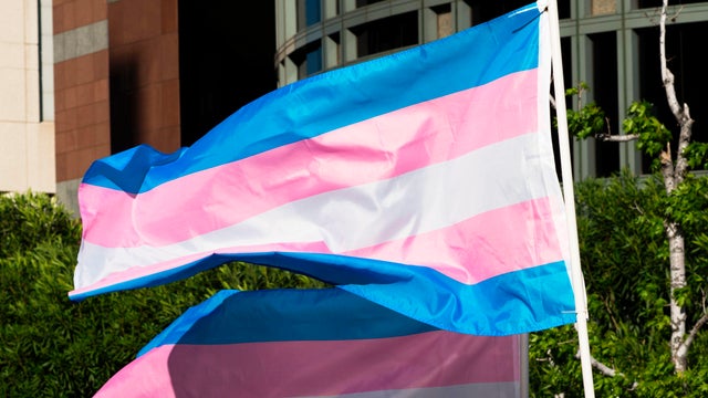 transgender pride flag