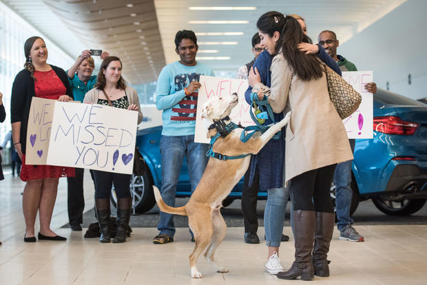 Iranian Engineer Returns To U.S. After Suspension Of Immigration Ban 