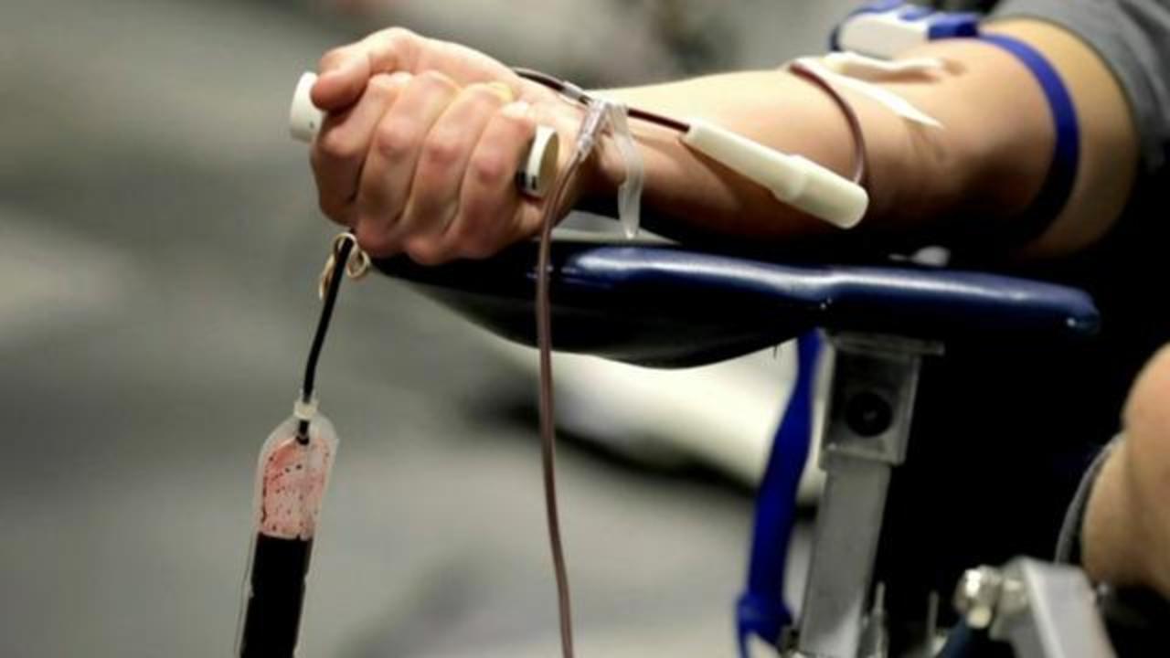 can gay men donate blood in nyc