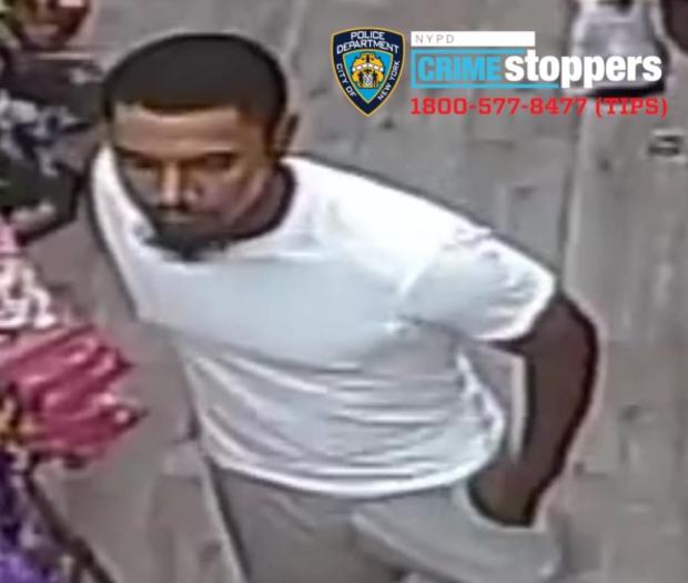 Queens Attempted Kidnapping Suspect James McGonagle 