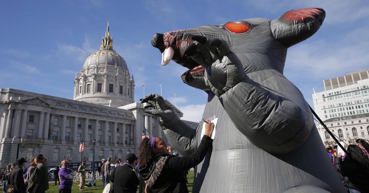 A giant inflatable rat called "Scabby" is constitutionally accepted free speech