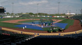 Minor League Baseball teams "on the brink of financial catastrophe" 