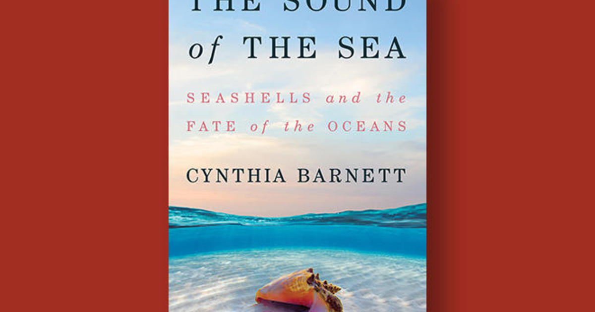 Book excerpt: "Sound of the Sea" by Cynthia Barnett