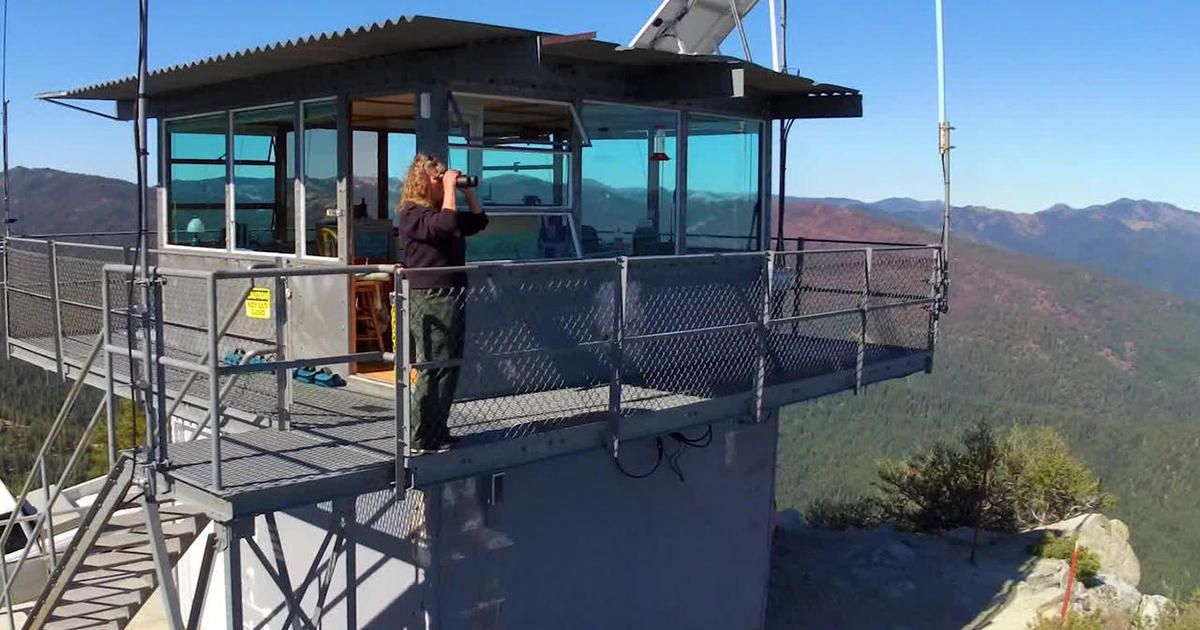 Fire lookouts keep watch over threatened forests