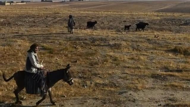 cbsn-fusion-how-climate-change-helped-strengthen-the-taliban-thumbnail-776138-640x360.jpg