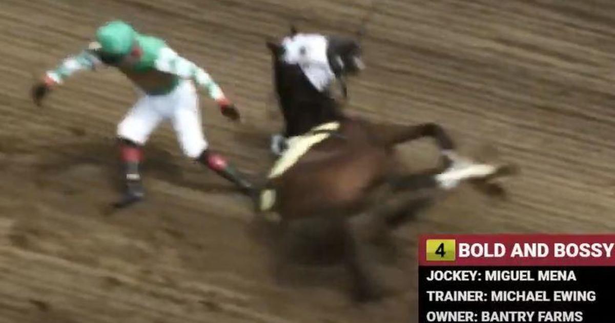 Racehorse bucks jockey, escapes track and runs onto Kentucky highway