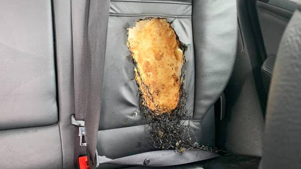 BMW seat heater 