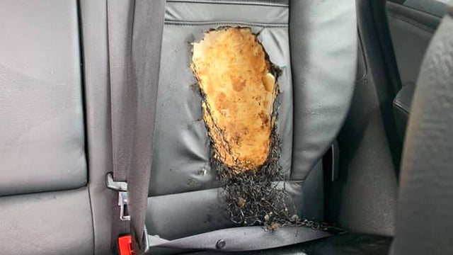 bmw1.jpg