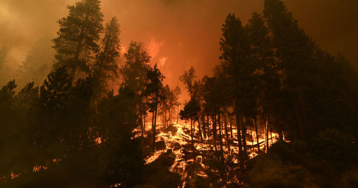 Caldor fire grows 7,000 acres overnight as firefighters battle active blazes across the country