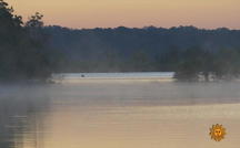 Nature: Dawn in Texas 