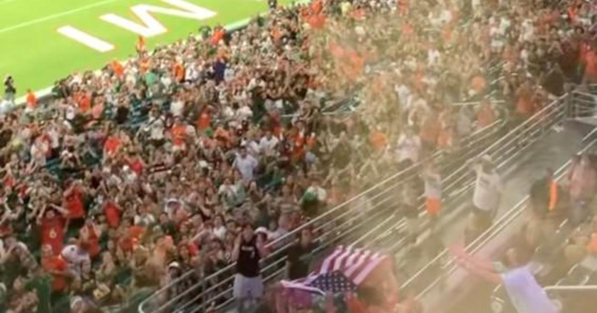 Fans at Miami Hurricanes game use American flag as net to help save cat falling from stadium's upper level