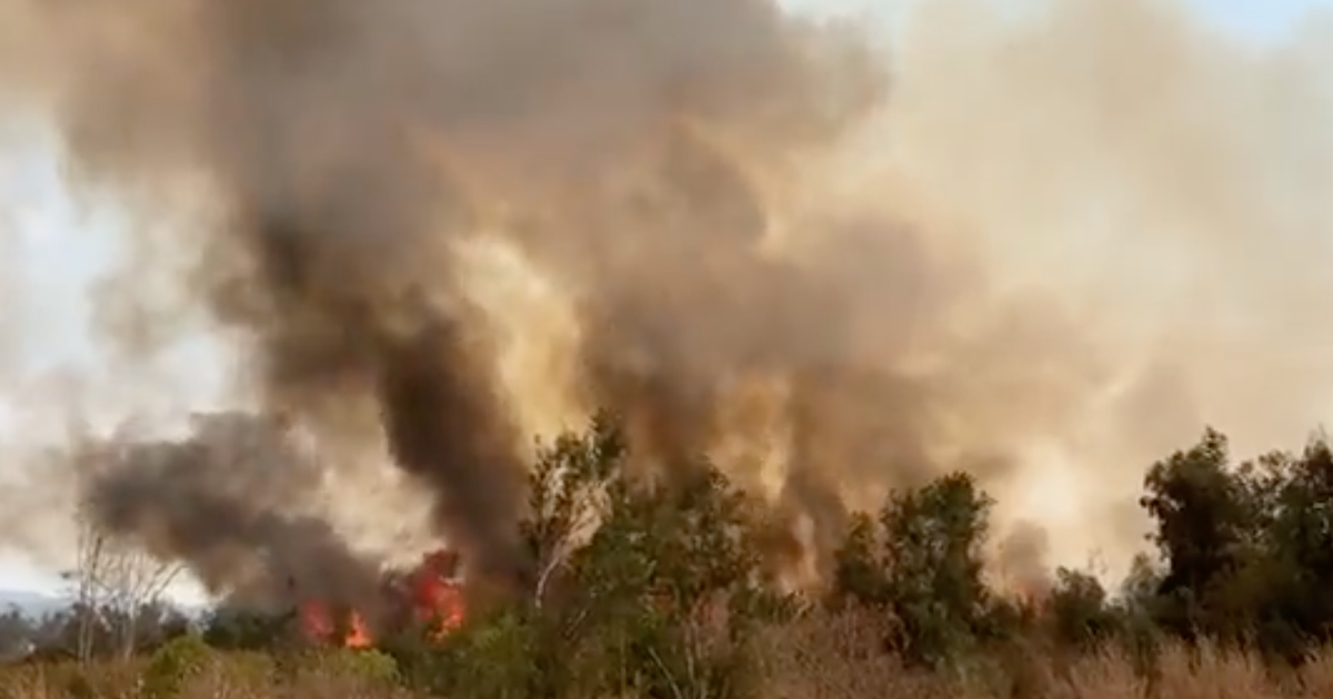 Forward Progress Stopped On Rosemead Fire Burning In Whittier Narrows